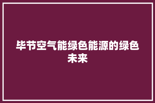 毕节空气能绿色能源的绿色未来