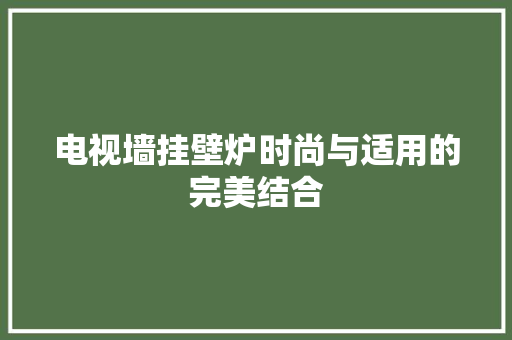 电视墙挂壁炉时尚与适用的完美结合 汽车维修