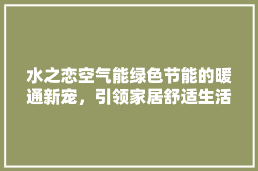 水之恋空气能绿色节能的暖通新宠，引领家居舒适生活新潮流