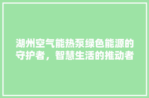湖州空气能热泵绿色能源的守护者，智慧生活的推动者
