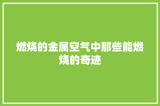 燃烧的金属空气中那些能燃烧的奇迹