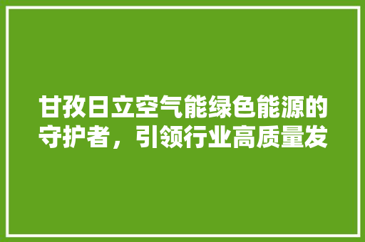 甘孜日立空气能绿色能源的守护者，引领行业高质量发展 厨房维修