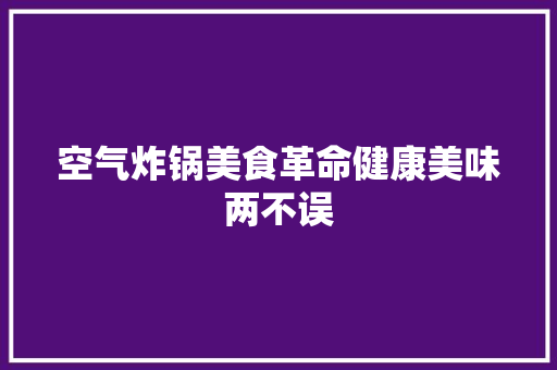 空气炸锅美食革命健康美味两不误