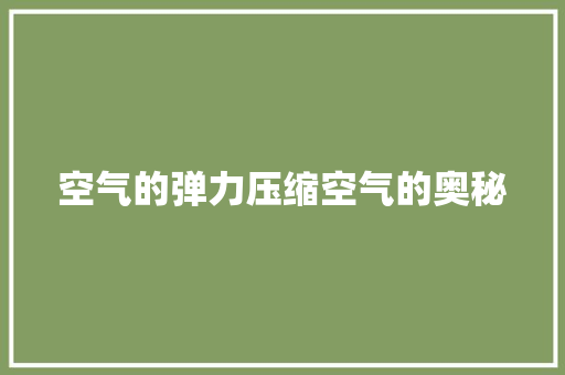 空气的弹力压缩空气的奥秘