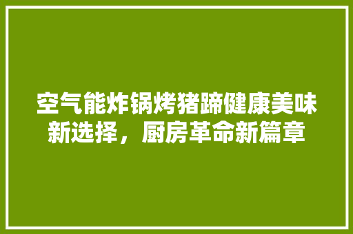 空气能炸锅烤猪蹄健康美味新选择，厨房革命新篇章