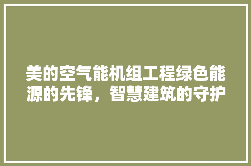 美的空气能机组工程绿色能源的先锋，智慧建筑的守护者