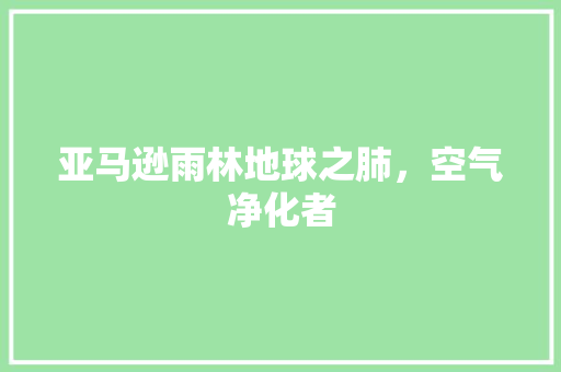 亚马逊雨林地球之肺，空气净化者 厨房维修
