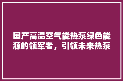 国产高温空气能热泵绿色能源的领军者，引领未来热泵技术革新 汽车维修