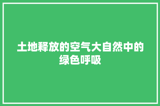 土地释放的空气大自然中的绿色呼吸 汽车维修