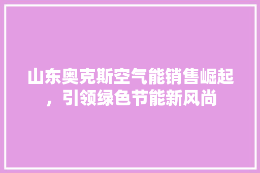 山东奥克斯空气能销售崛起，引领绿色节能新风尚