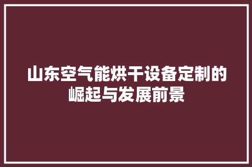 山东空气能烘干设备定制的崛起与发展前景