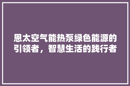 恩太空气能热泵绿色能源的引领者，智慧生活的践行者