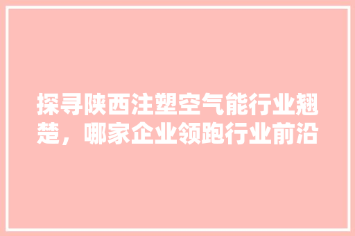 探寻陕西注塑空气能行业翘楚，哪家企业领跑行业前沿