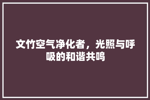 文竹空气净化者，光照与呼吸的和谐共鸣 墙体维修