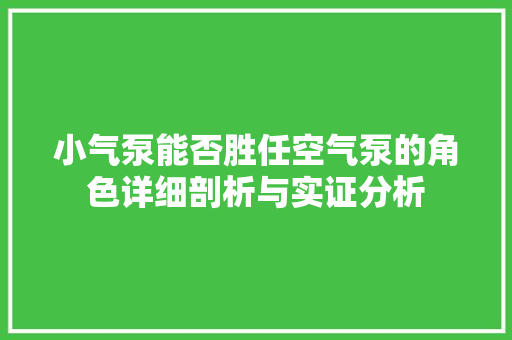 小气泵能否胜任空气泵的角色详细剖析与实证分析