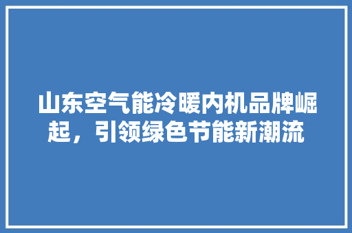 山东空气能冷暖内机品牌崛起，引领绿色节能新潮流