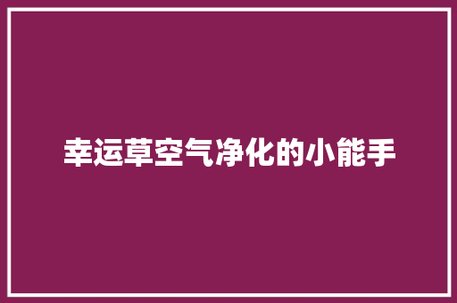 幸运草空气净化的小能手