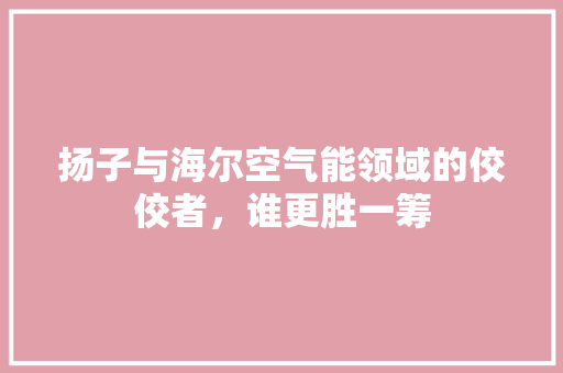 扬子与海尔空气能领域的佼佼者，谁更胜一筹