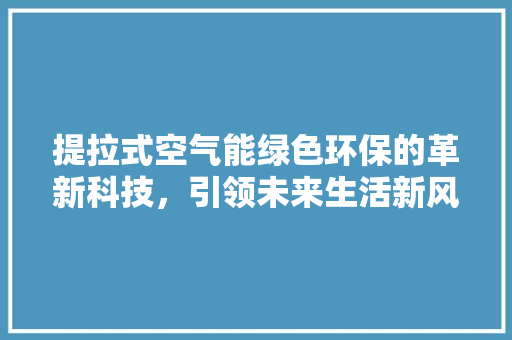 提拉式空气能绿色环保的革新科技，引领未来生活新风尚