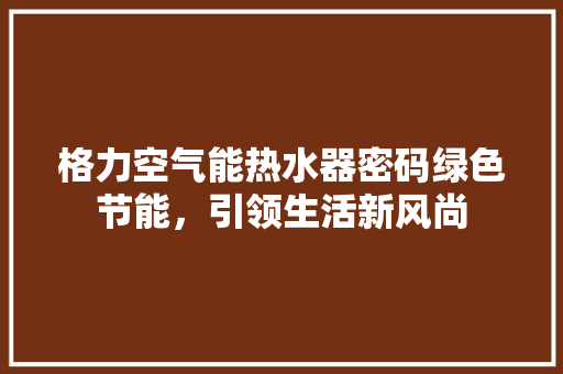 格力空气能热水器密码绿色节能，引领生活新风尚 厨房维修
