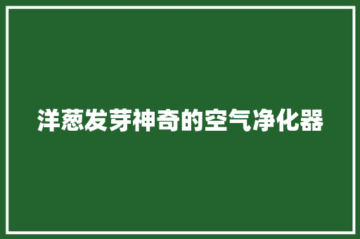 洋葱发芽神奇的空气净化器