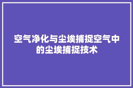 空气净化与尘埃捕捉空气中的尘埃捕捉技术