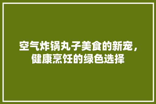 空气炸锅丸子美食的新宠，健康烹饪的绿色选择