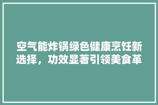 空气能炸锅绿色健康烹饪新选择，功效显著引领美食革命