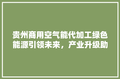 贵州商用空气能代加工绿色能源引领未来，产业升级助力发展