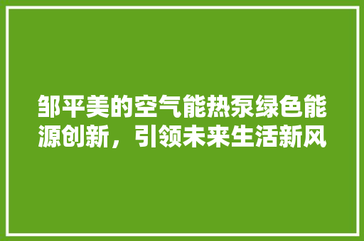 邹平美的空气能热泵绿色能源创新，引领未来生活新风尚