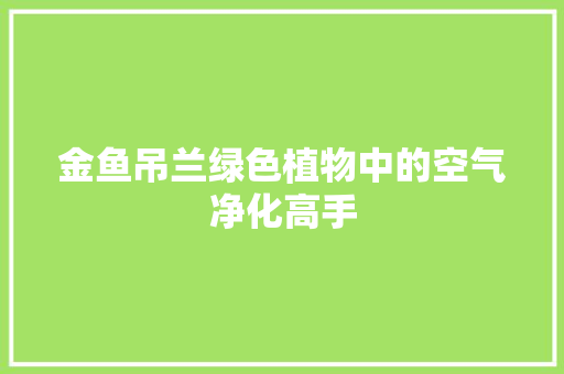 金鱼吊兰绿色植物中的空气净化高手 厨房维修