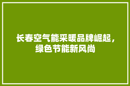 长春空气能采暖品牌崛起，绿色节能新风尚 厨房维修