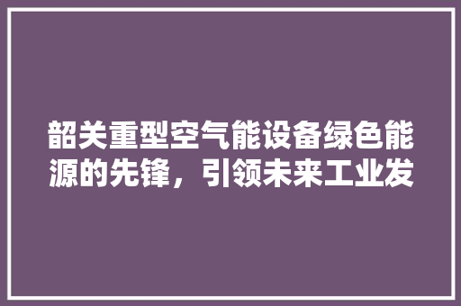 韶关重型空气能设备绿色能源的先锋，引领未来工业发展