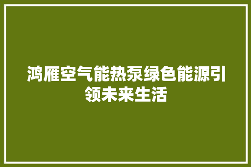 鸿雁空气能热泵绿色能源引领未来生活