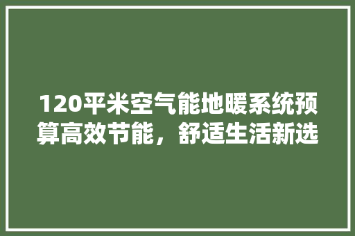 120平米空气能地暖系统预算高效节能，舒适生活新选择