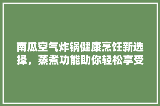 南瓜空气炸锅健康烹饪新选择，蒸煮功能助你轻松享受美食