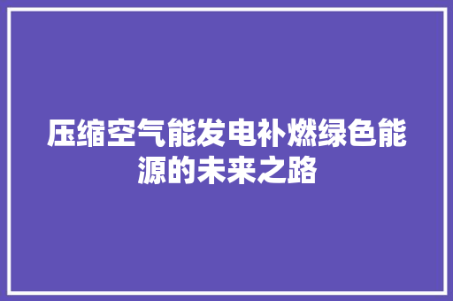 压缩空气能发电补燃绿色能源的未来之路 综合便民