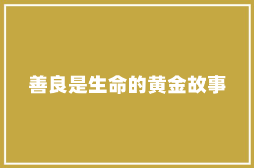 台州安装空气能节能环保的绿色选择，经济实惠的家居解决方法