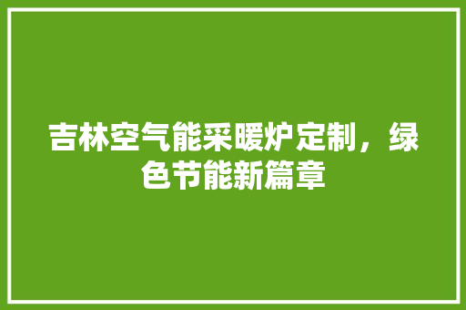 吉林空气能采暖炉定制，绿色节能新篇章 汽车维修