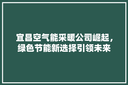 宜昌空气能采暖公司崛起，绿色节能新选择引领未来