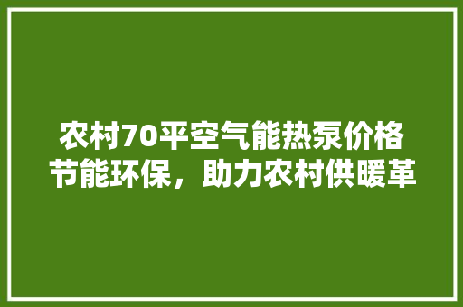 农村70平空气能热泵价格节能环保，助力农村供暖革命