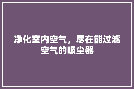 净化室内空气，尽在能过滤空气的吸尘器