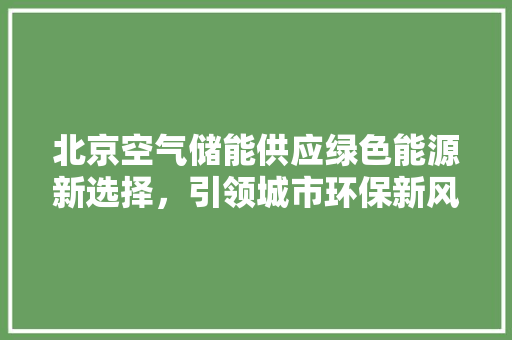 北京空气储能供应绿色能源新选择，引领城市环保新风尚 家电维修
