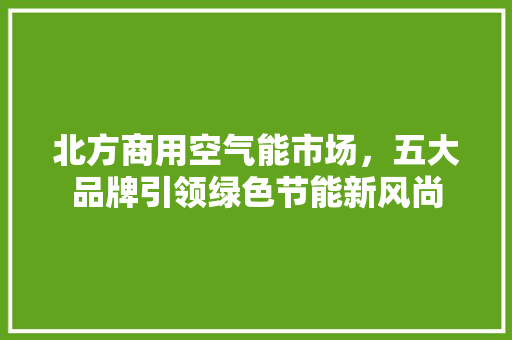 北方商用空气能市场，五大品牌引领绿色节能新风尚 家电维修