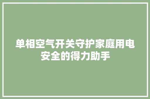 单相空气开关守护家庭用电安全的得力助手 综合便民