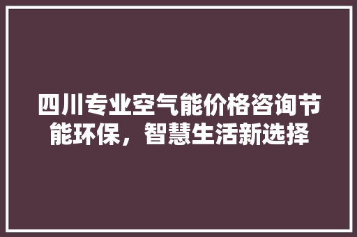四川专业空气能价格咨询节能环保，智慧生活新选择 厨房维修