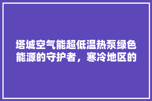 塔城空气能超低温热泵绿色能源的守护者，寒冷地区的温暖希望 汽车维修