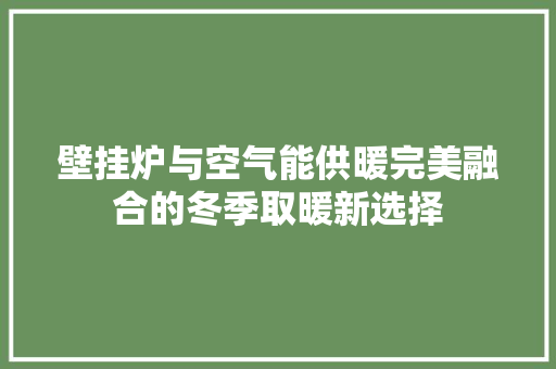壁挂炉与空气能供暖完美融合的冬季取暖新选择 墙体维修