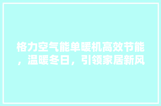 格力空气能单暖机高效节能，温暖冬日，引领家居新风尚
