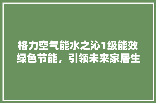 格力空气能水之沁1级能效绿色节能，引领未来家居生活新风尚